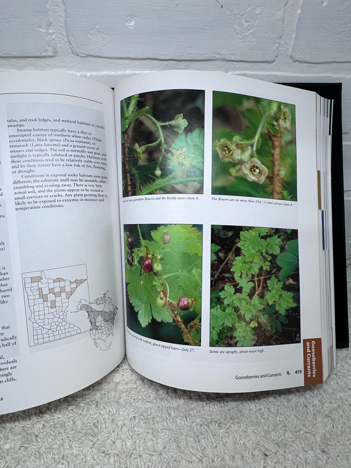 Trees & Shrubs of Minnesota CR 2008 Hardcover MN DNR