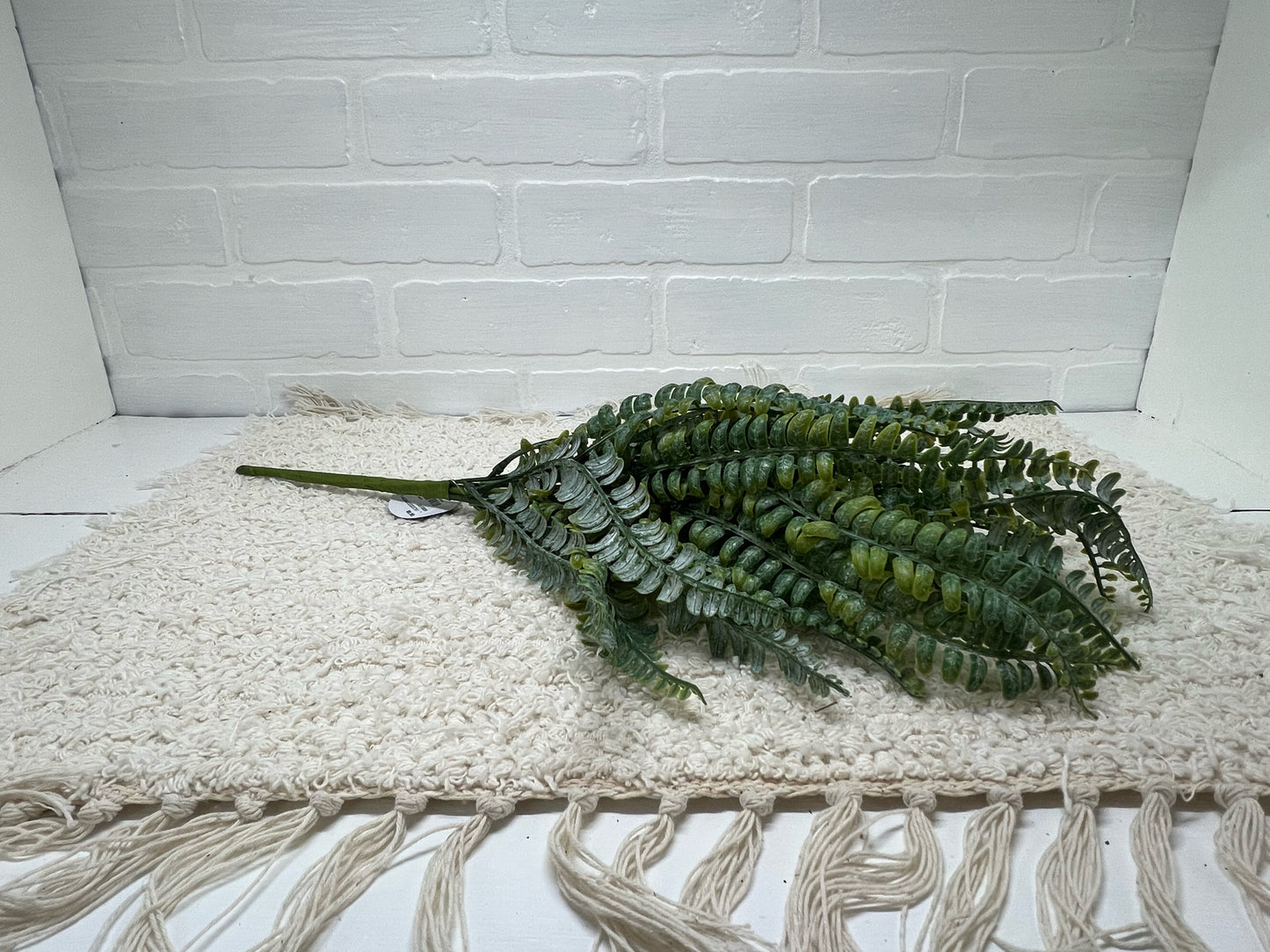 Garden fern bush 18" spray