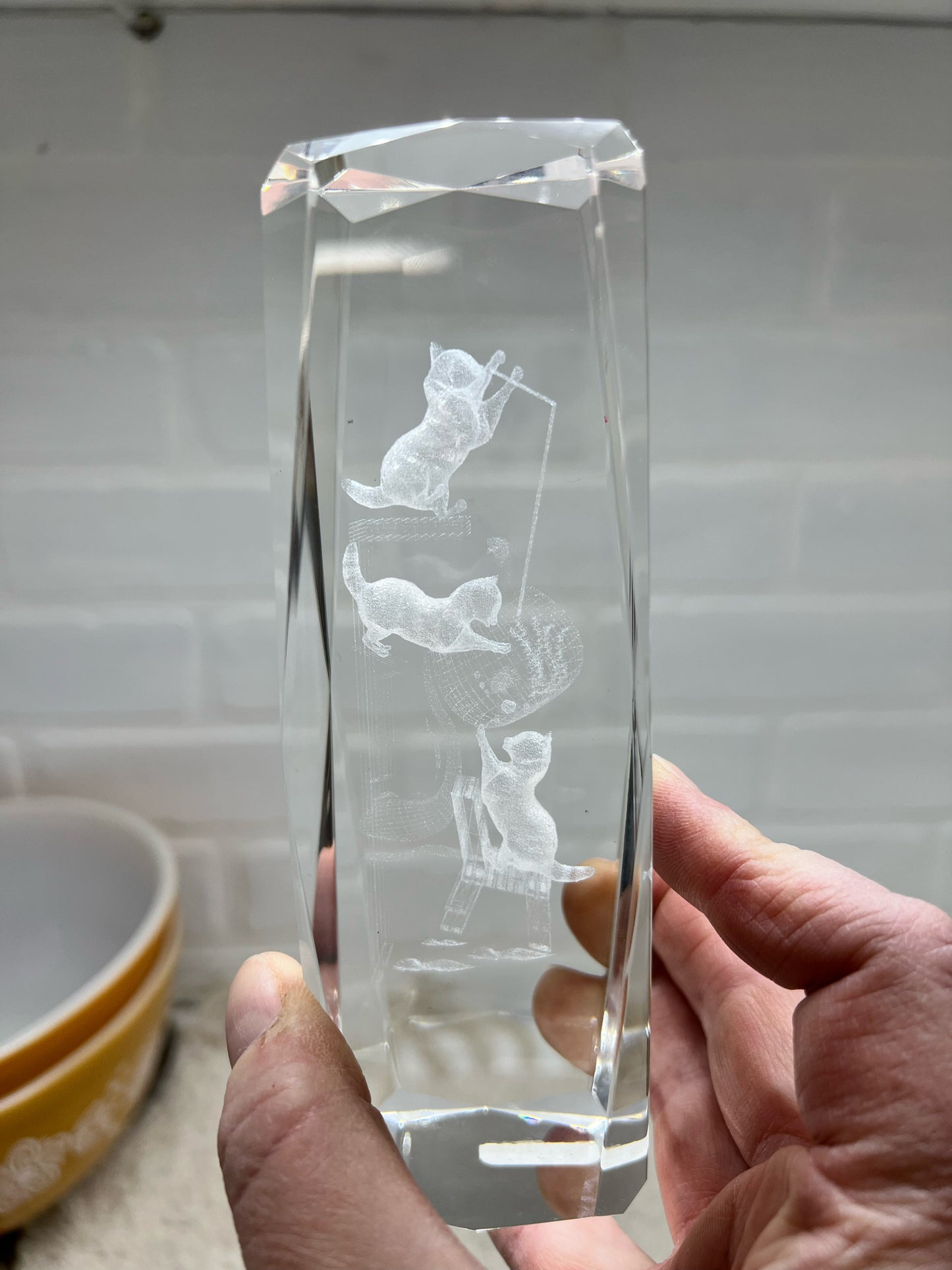 Glass etched paperweight of cats playing