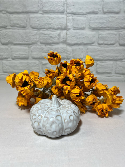 White round & squat ceramic pumpkin