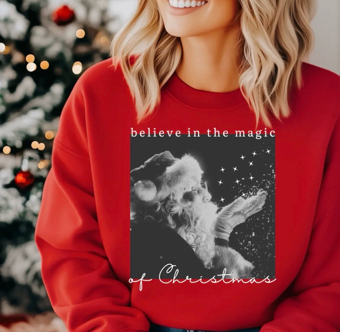 Believe in the Magic of Christmas Sweatshirt in Antique Cherry