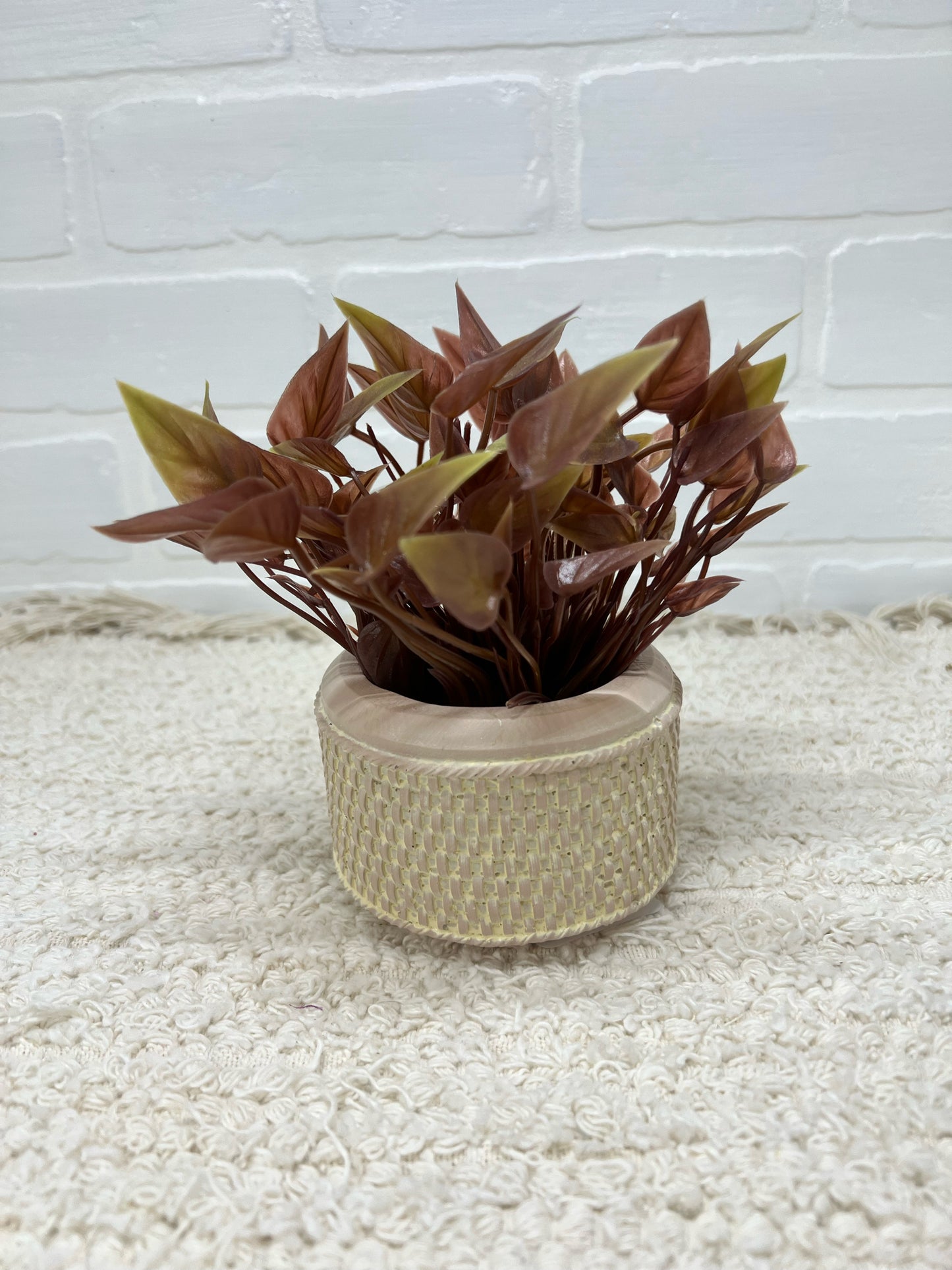 Faux succulent plant in small resin planter