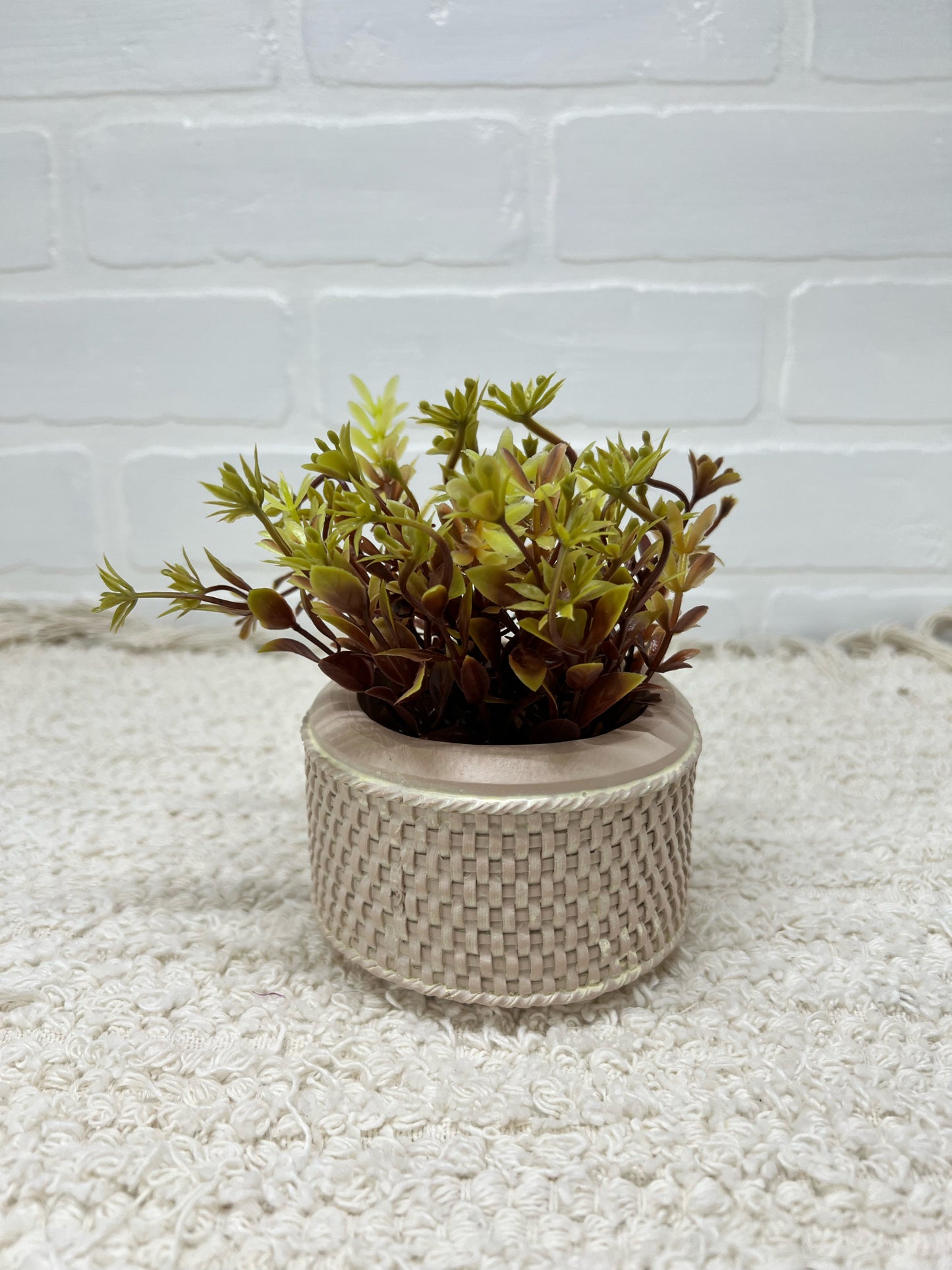 Faux succulent plant in small resin planter