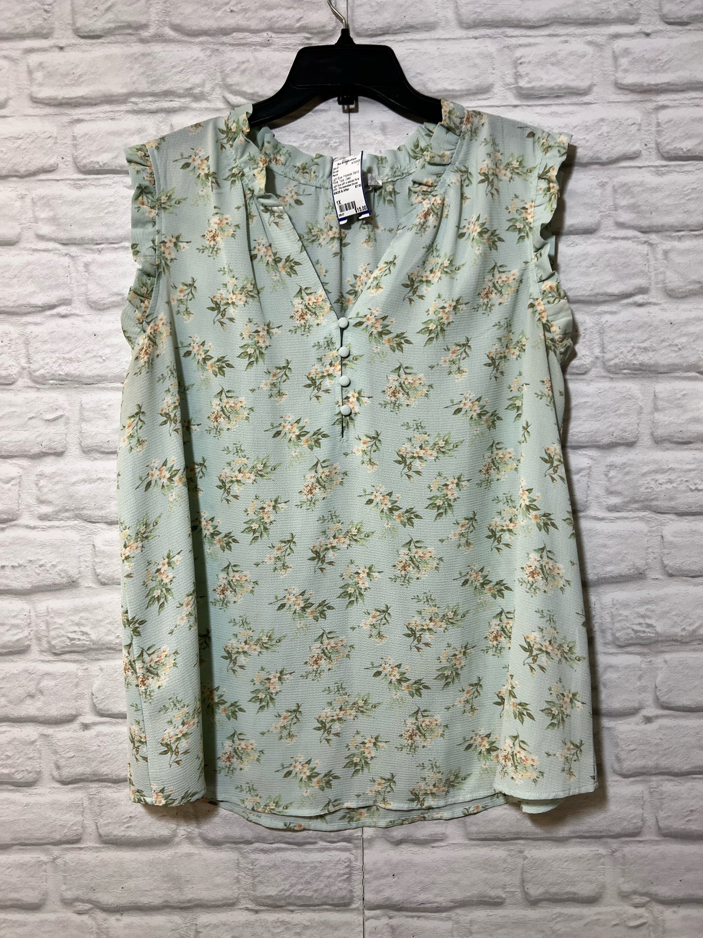Size 1X Perch light blue floral spring blouse