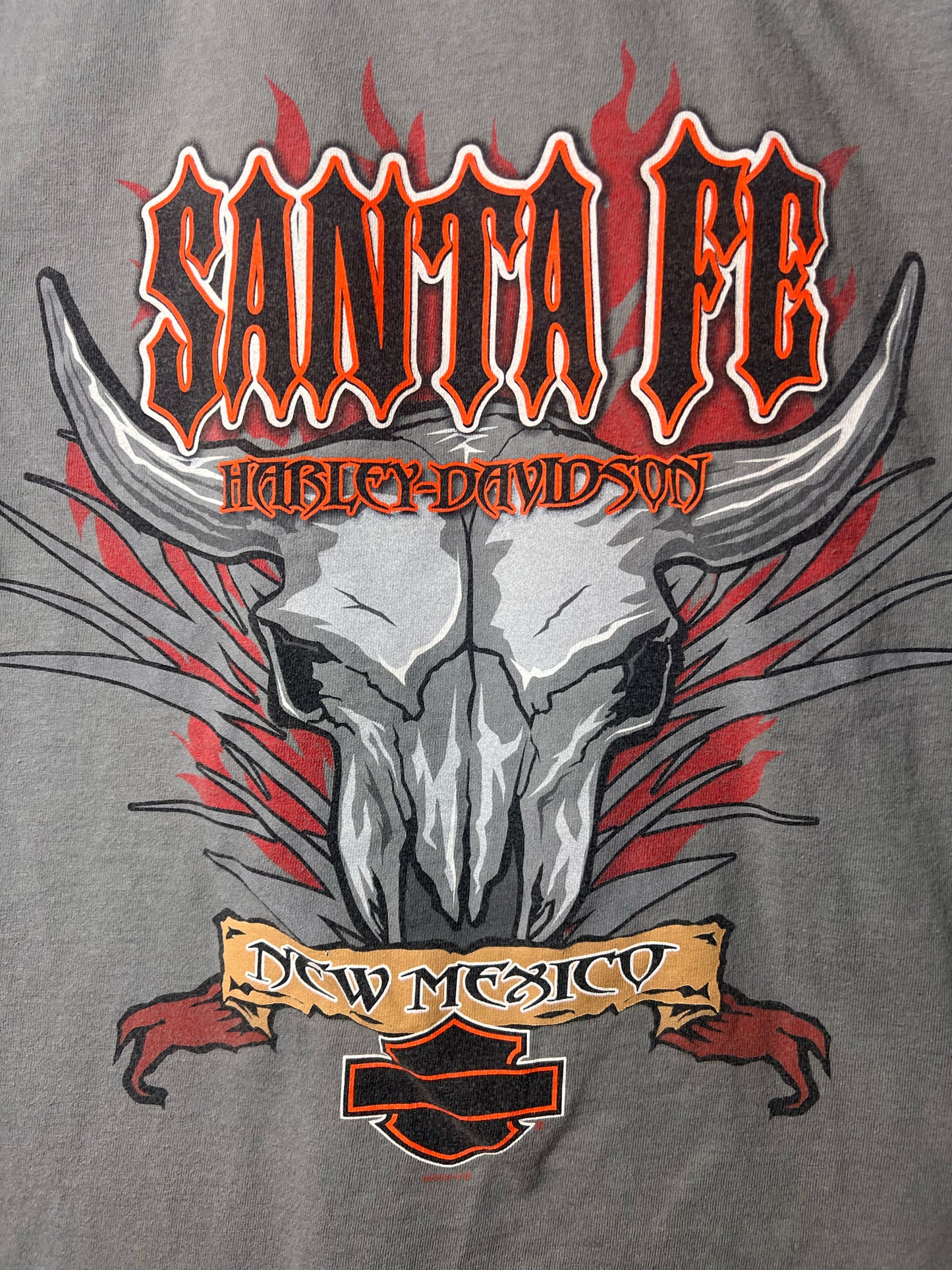 Size XL Harley-Davidson Used HD T-Shirt - Special Collection