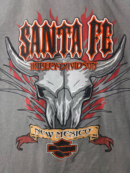 Size XL Harley-Davidson Used HD T-Shirt - Special Collection