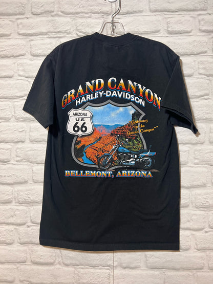 Size M Harley-Davidson Used HD T-Shirt - Special Collection