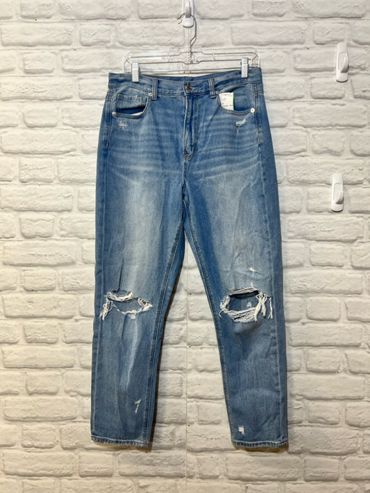 American Eagle Size 10 Used Jeans