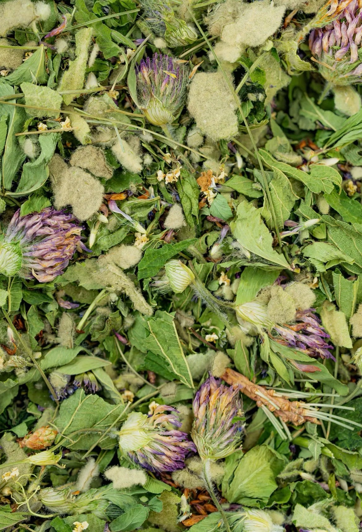 Sacred Blossom Farm Loose Leaf Herbal Tea - Assorted Varieties