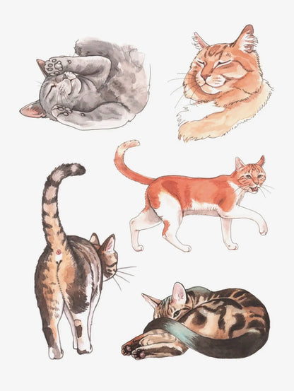 The Cat's Meow Sticker Book