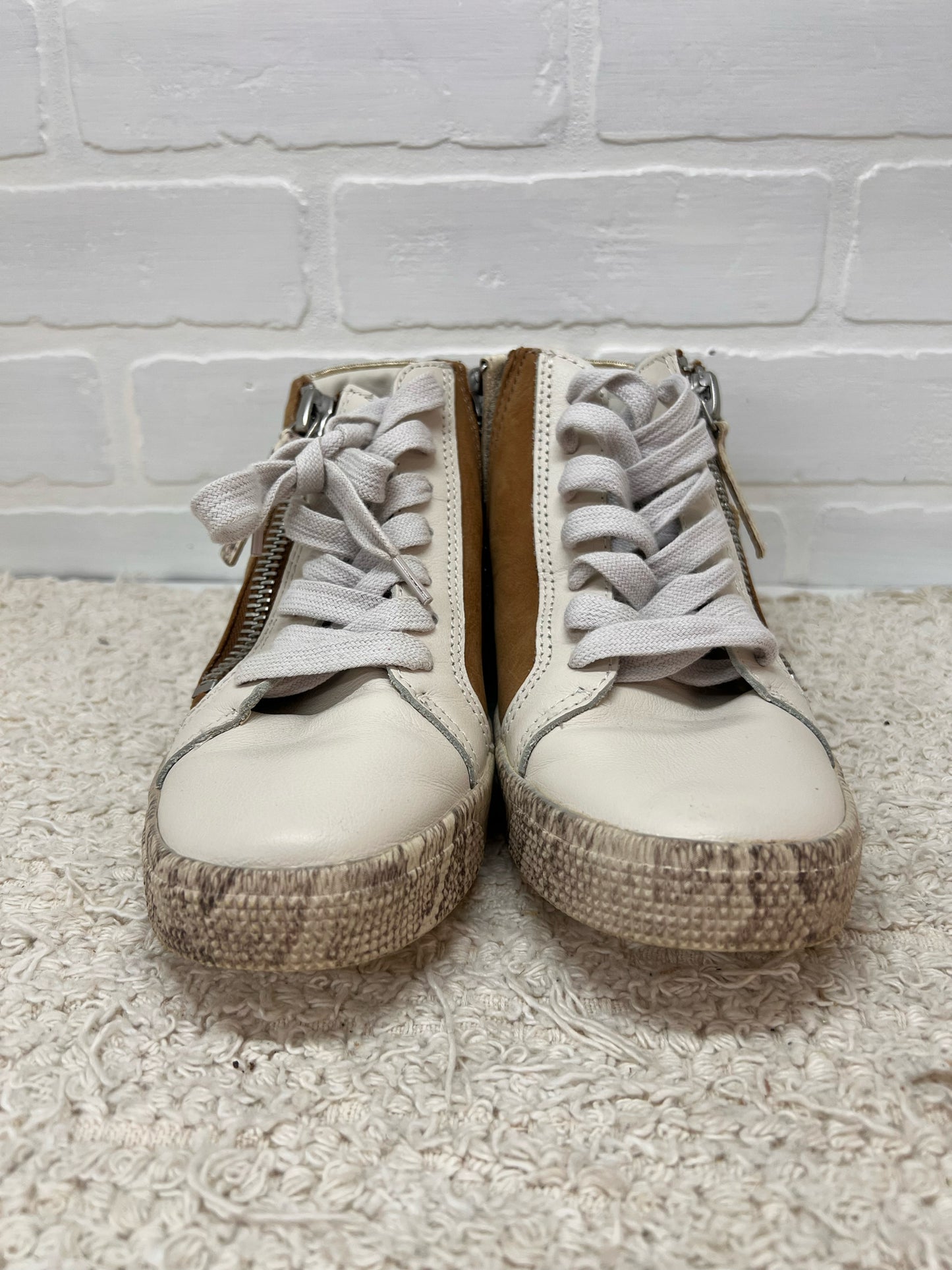 Shoe Size 6.5 Dolce Hightop Snakeskin Detail Sneakers