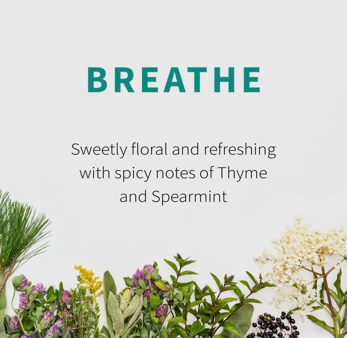 Sacred Blossom Farm Loose Leaf Herbal Tea - Assorted Varieties