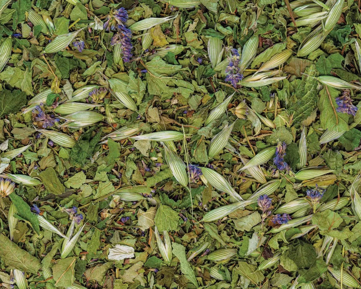 Sacred Blossom Farm Loose Leaf Herbal Tea - Assorted Varieties