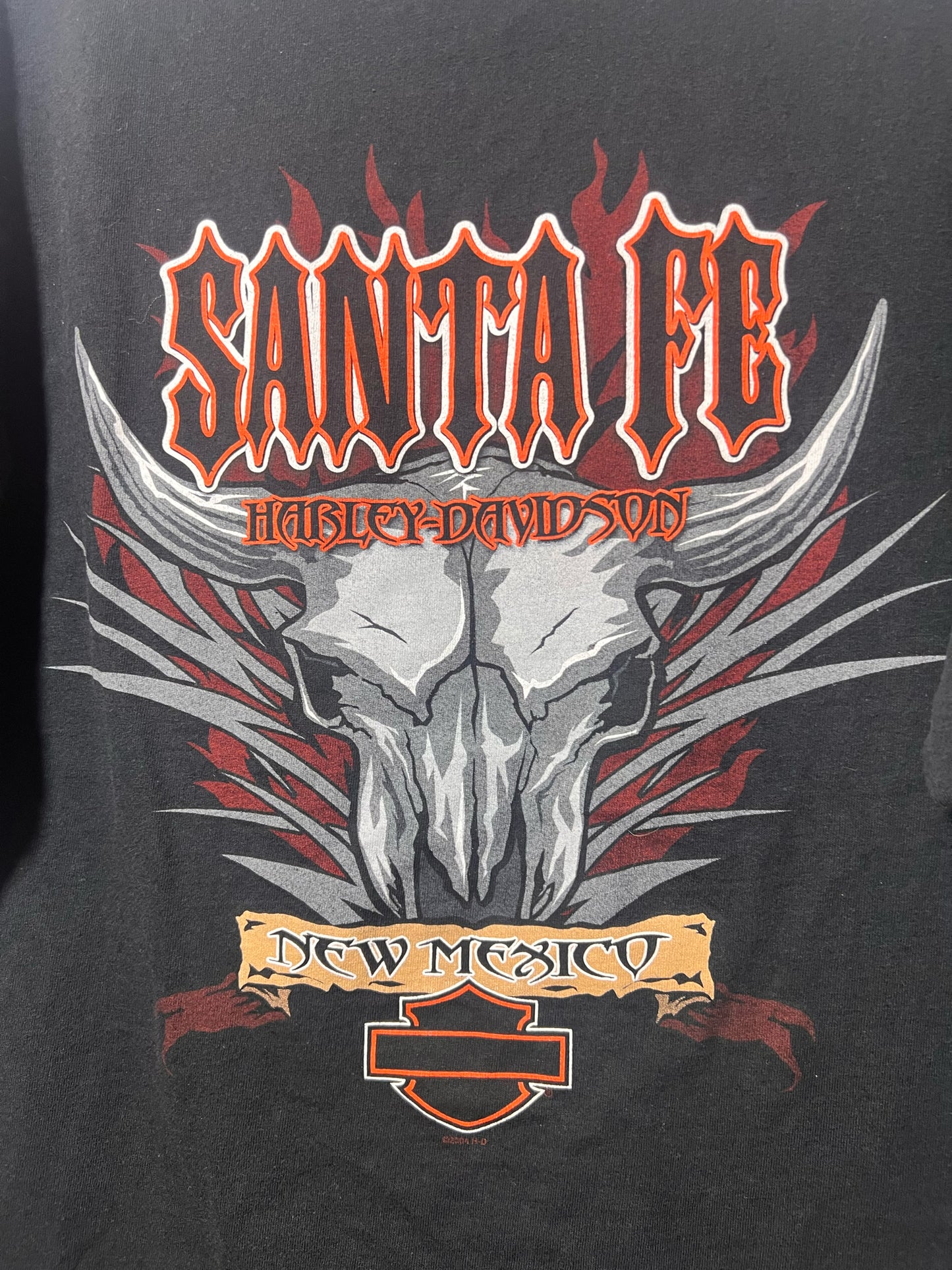 Size XL Harley-Davidson Used HD T-Shirt - Special Collection