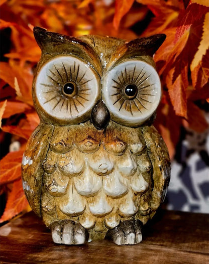 'Hoots' Resin Owl Shelf Sitter 5x4x7