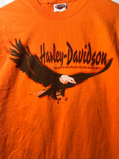 Size M Harley-Davidson Used HD T-Shirt - Special Collection
