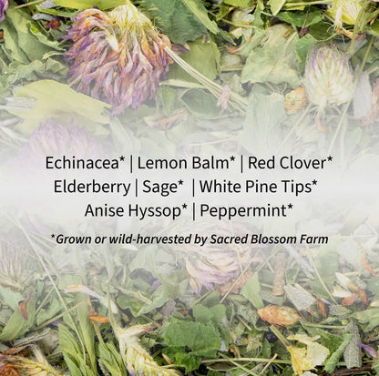 Sacred Blossom Farm Loose Leaf Herbal Tea - Assorted Varieties