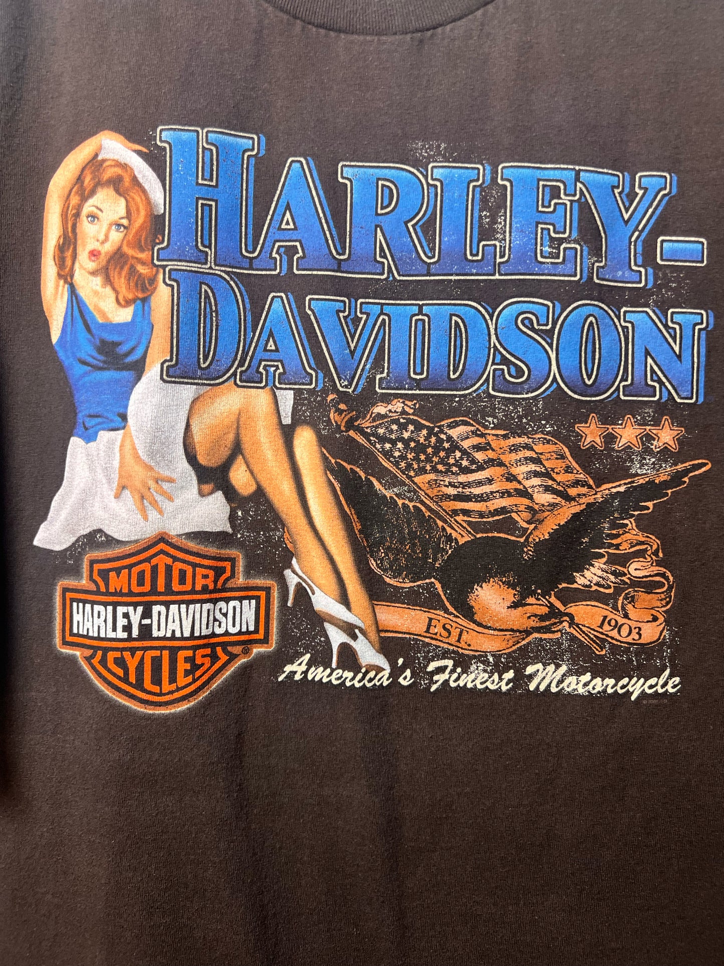 Size XL Harley-Davidson Used HD T-Shirt - Special Collection