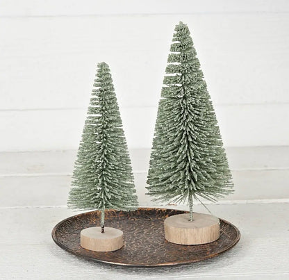 NEW Sage Green  Bottlebrush Tree 8 Inches