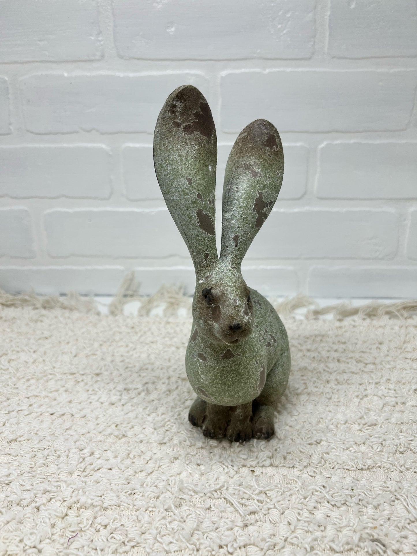 Long eared bunny