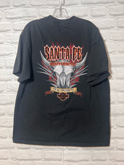 Harley-Davidson Size X-Large Black T-Shirt - Men's