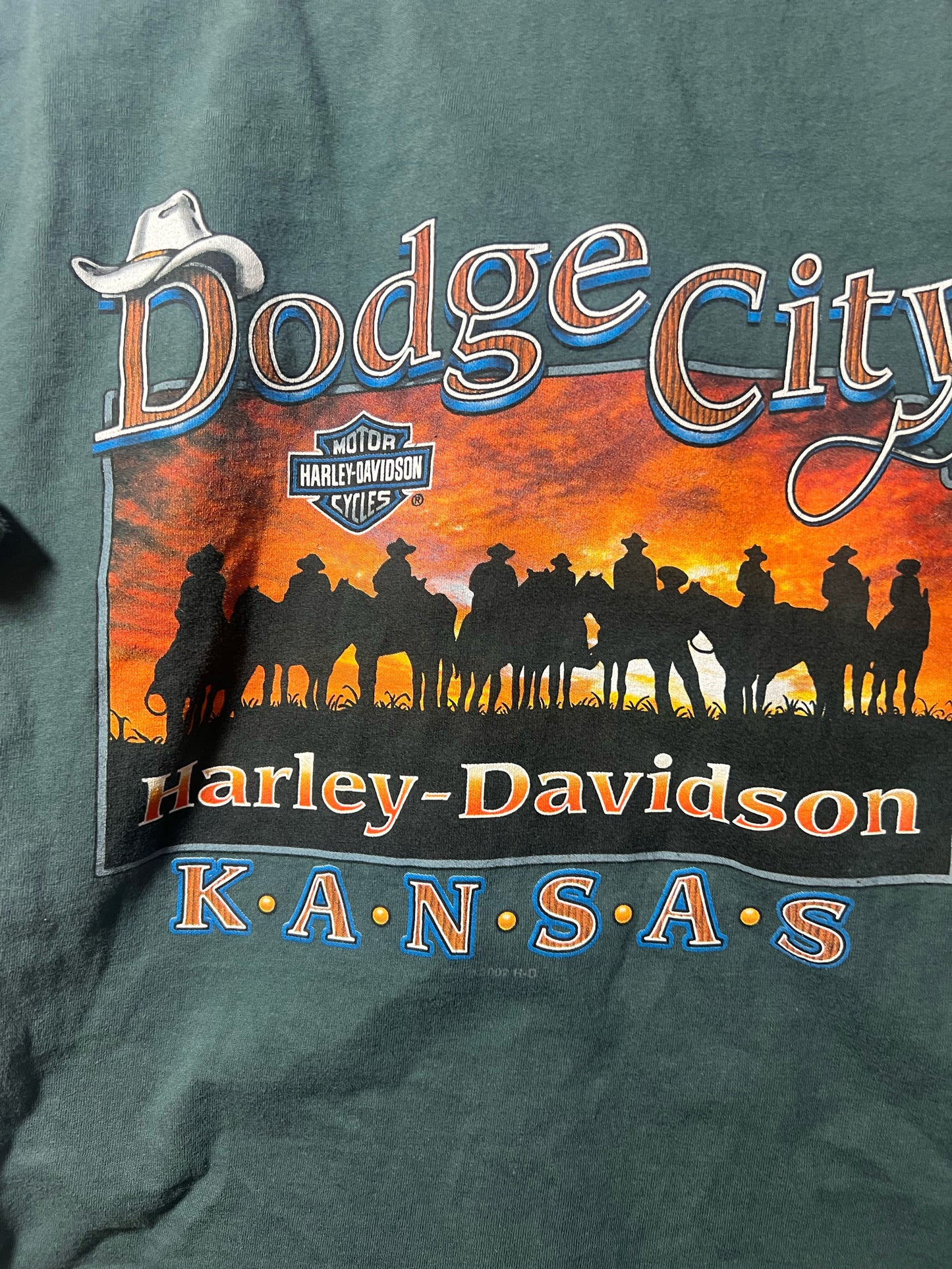 Size L Harley-Davidson Used HD T-Shirt - Special Collection