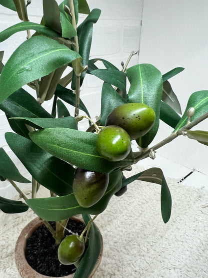 Faux Potted Olive Plant