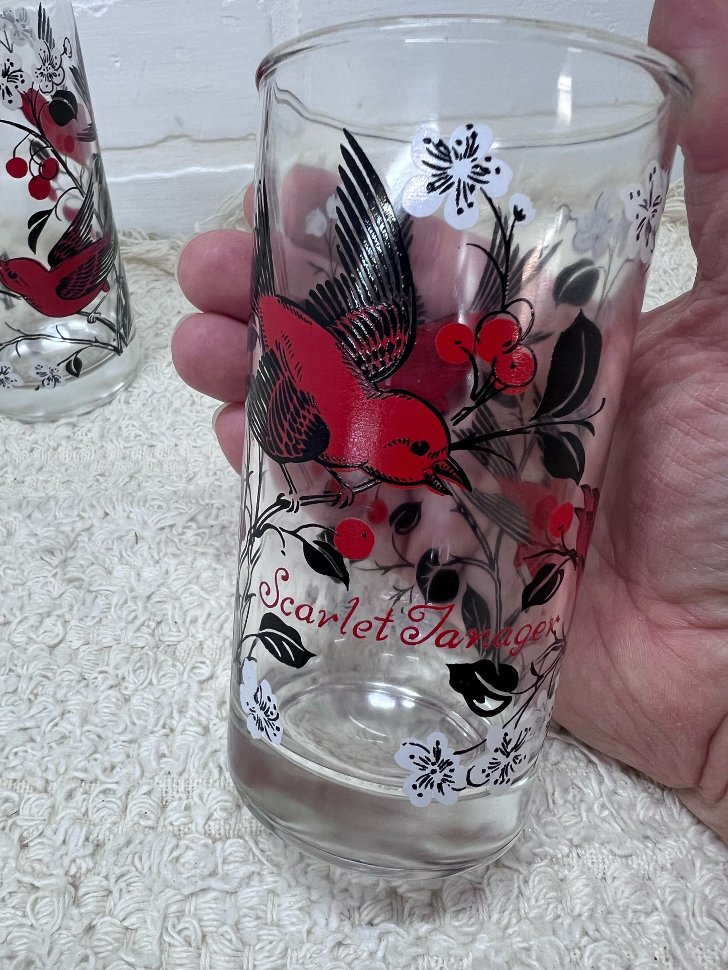 Hazel Atlas Set of 2 Scarlet Tanager Drinking Glass