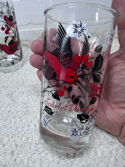 Hazel Atlas Set of 2 Scarlet Tanager Drinking Glass