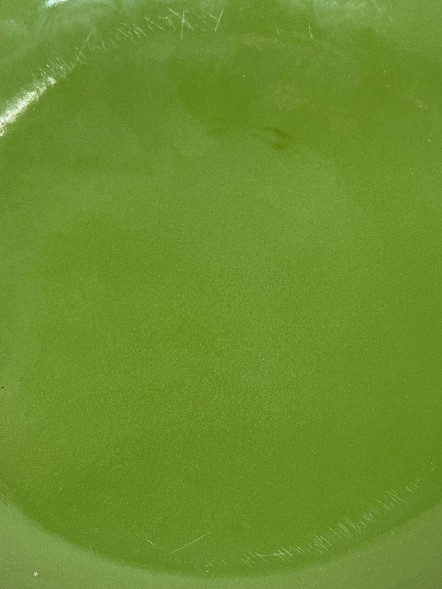 Catherine Holm Avocado Green Lotus Plate 10 Inches