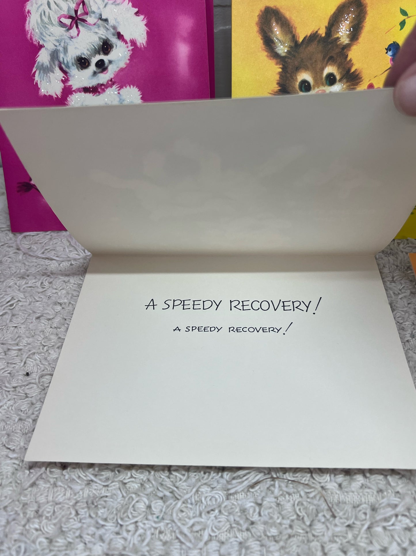 Vintage Box of 'Sparkling Pets' 1960's Greeting Cards