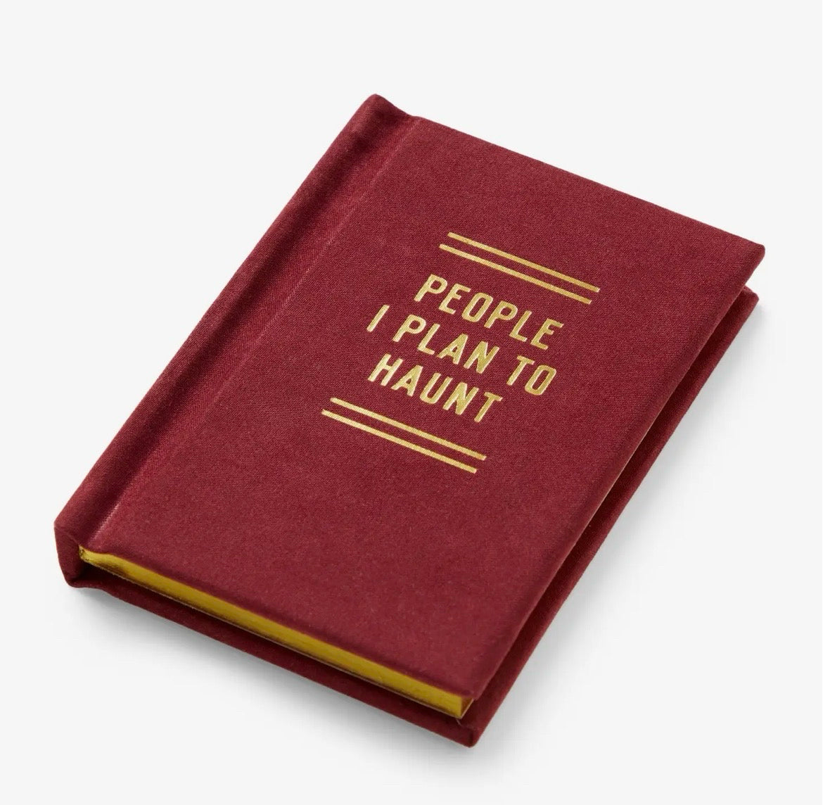 Brass Monkey People I Plan to Haunt Mini Diary