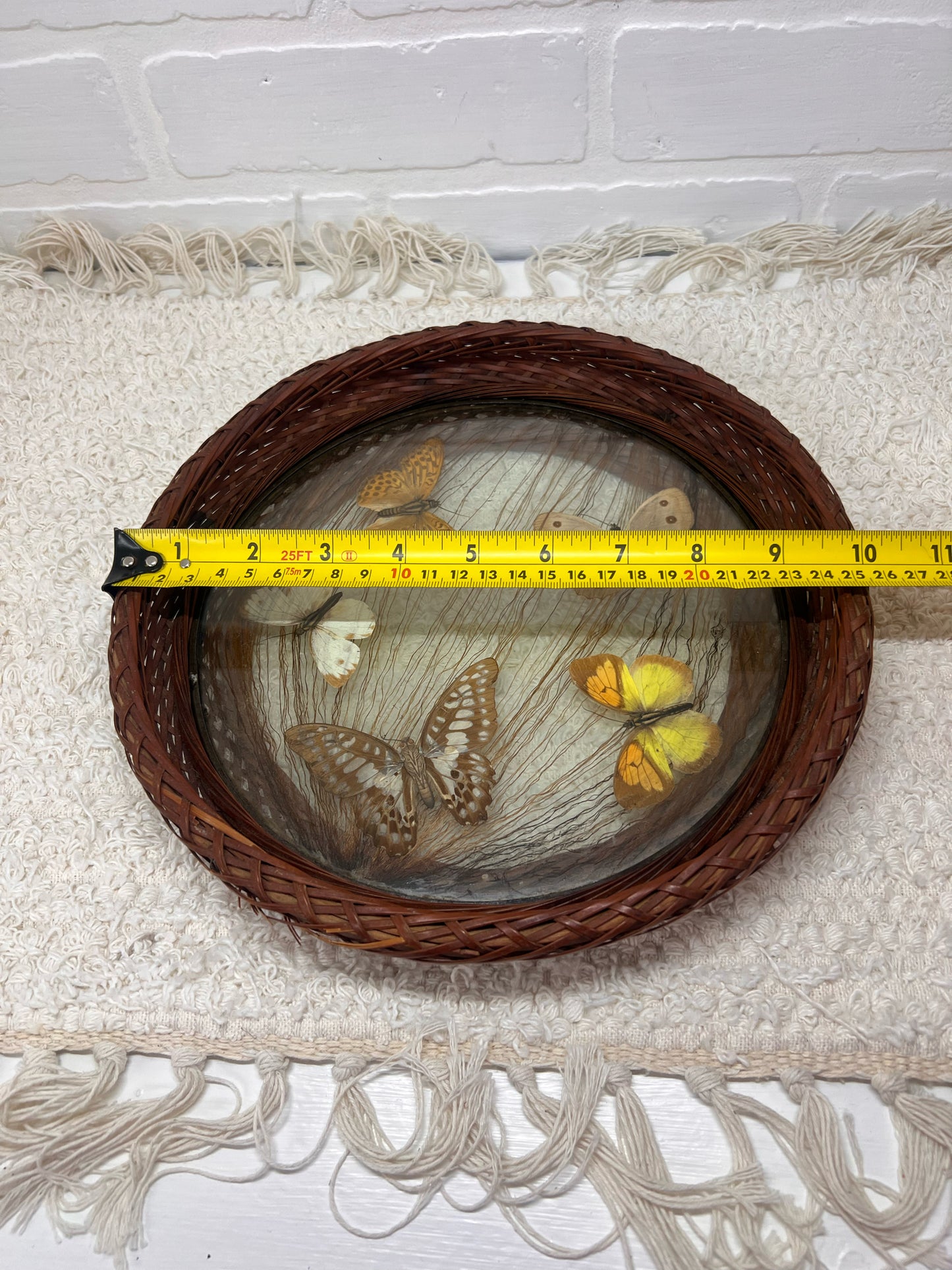 Vintage Pressed Butterfly Round Tray