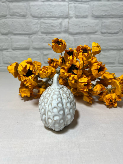 White Ceramic Pumpkin, oblong shape