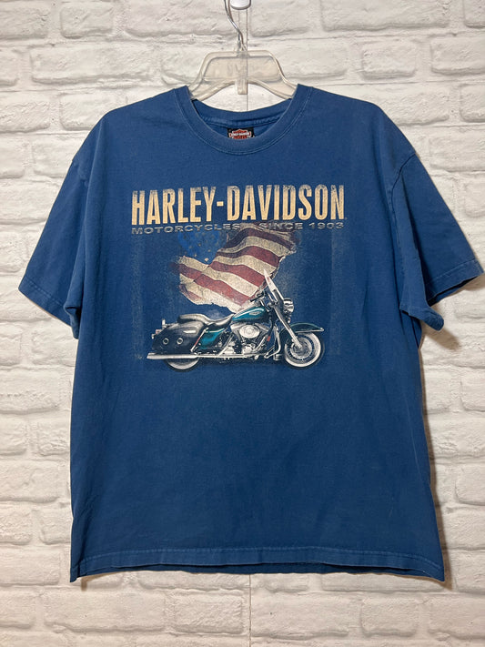 Size XL Harley-Davidson Used HD T-Shirt - Special Collection