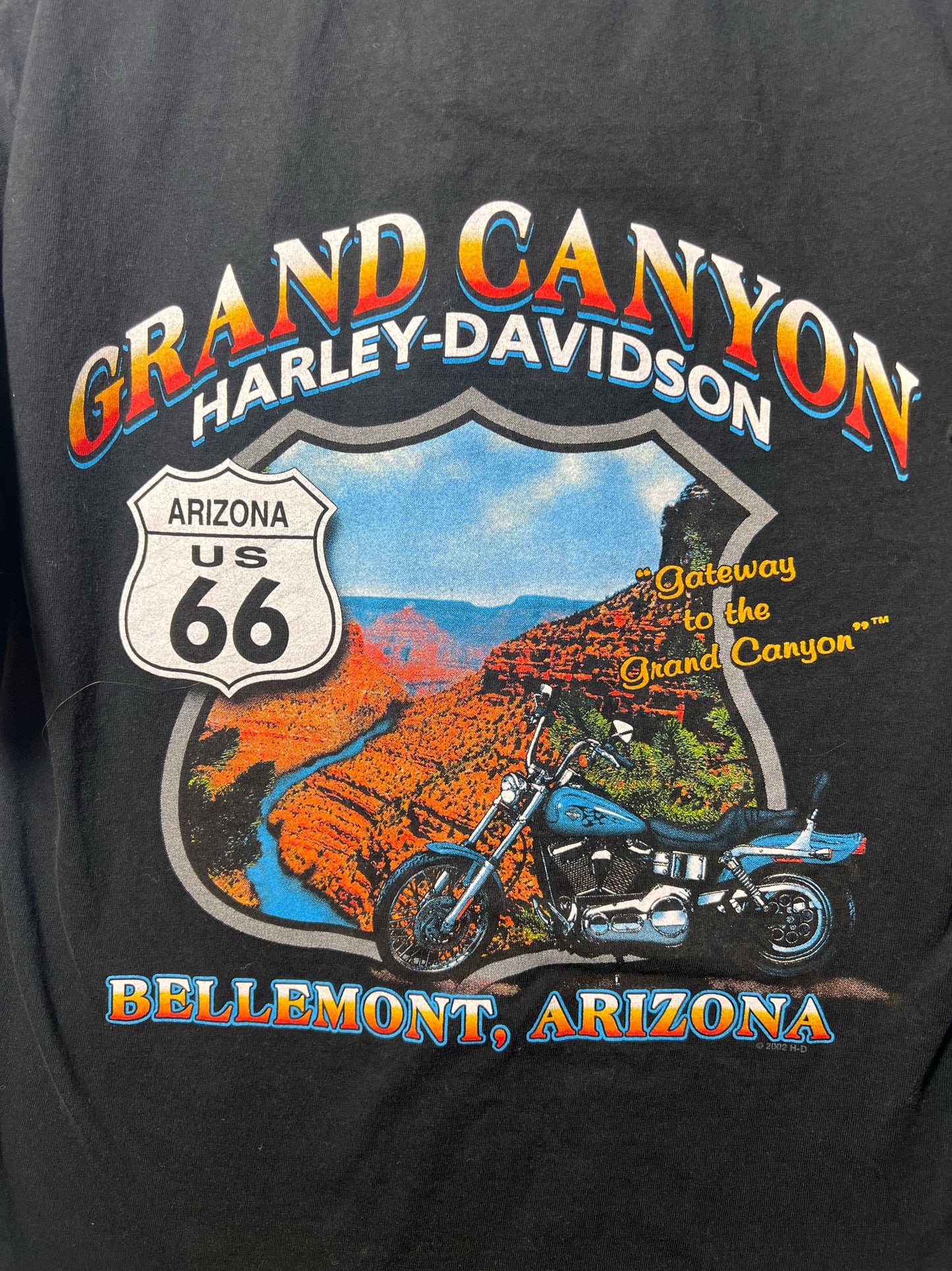 Size M Harley-Davidson Used HD T-Shirt - Special Collection