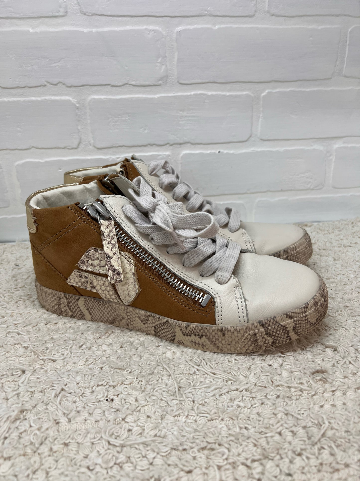 Shoe Size 6.5 Dolce Hightop Snakeskin Detail Sneakers