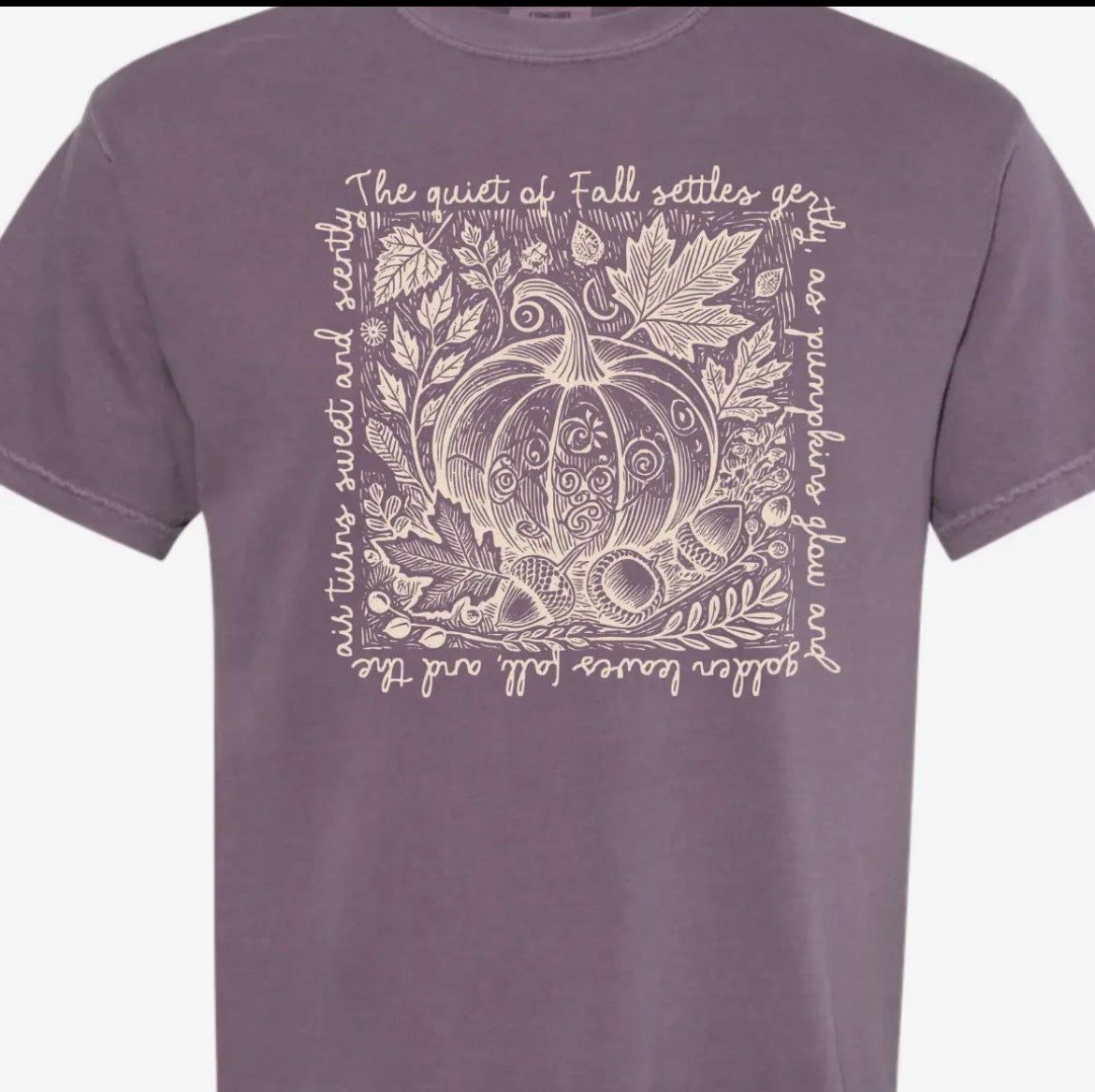 Retro Fall Pumpkin Comfort Colors T-Shirt in Wine or Pepper