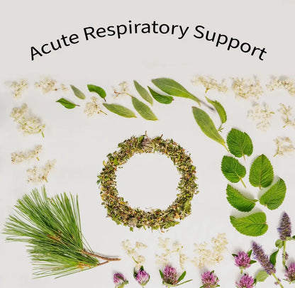 Sacred Blossom Farm Loose Leaf Herbal Tea - Assorted Varieties