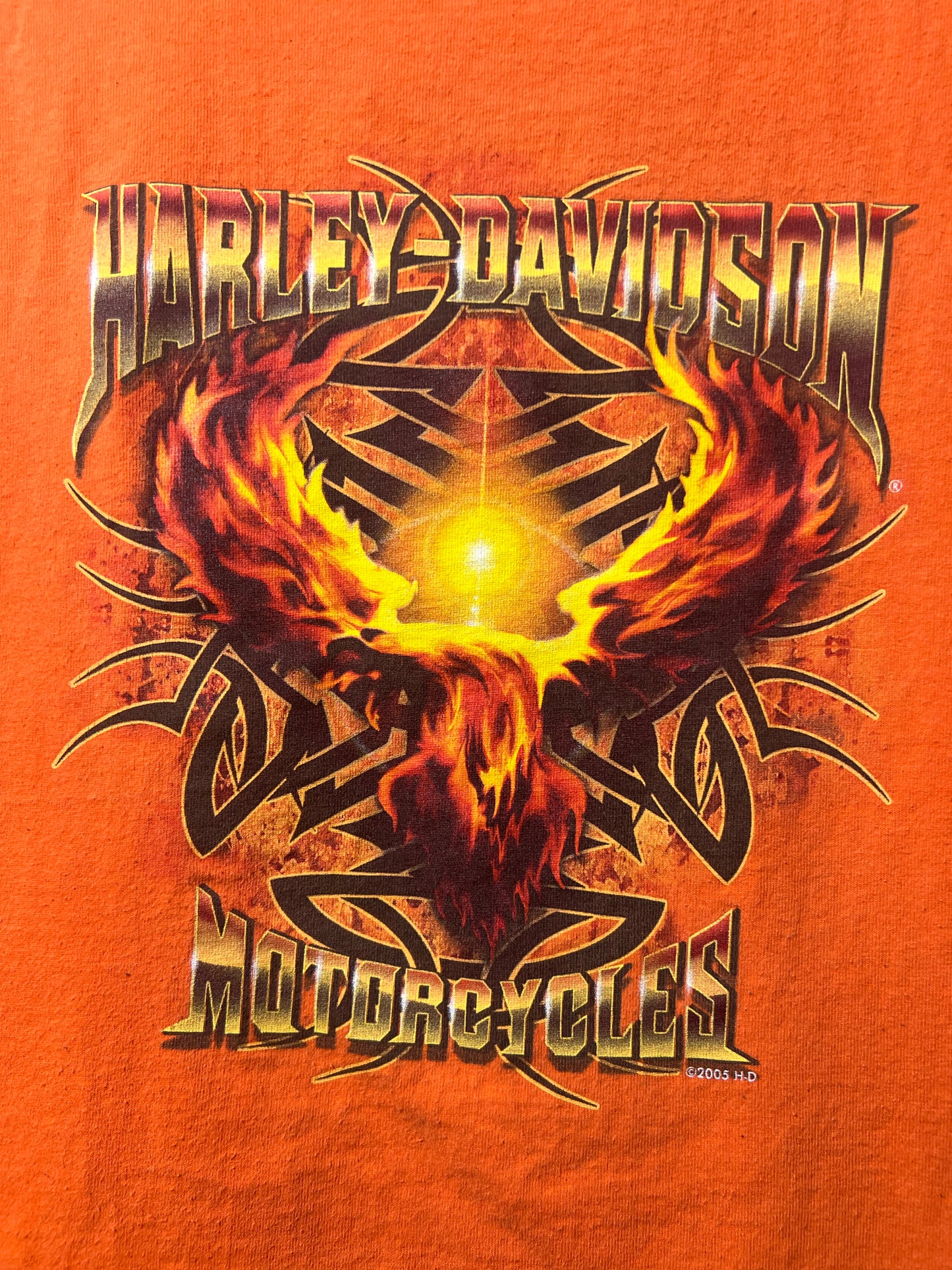 Size M Harley-Davidson Used HD T-Shirt - Special Collection