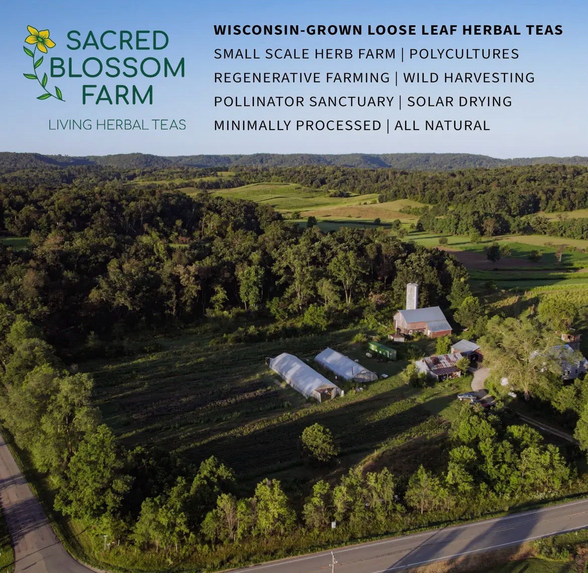 Sacred Blossom Farm Loose Leaf Herbal Tea - Assorted Varieties