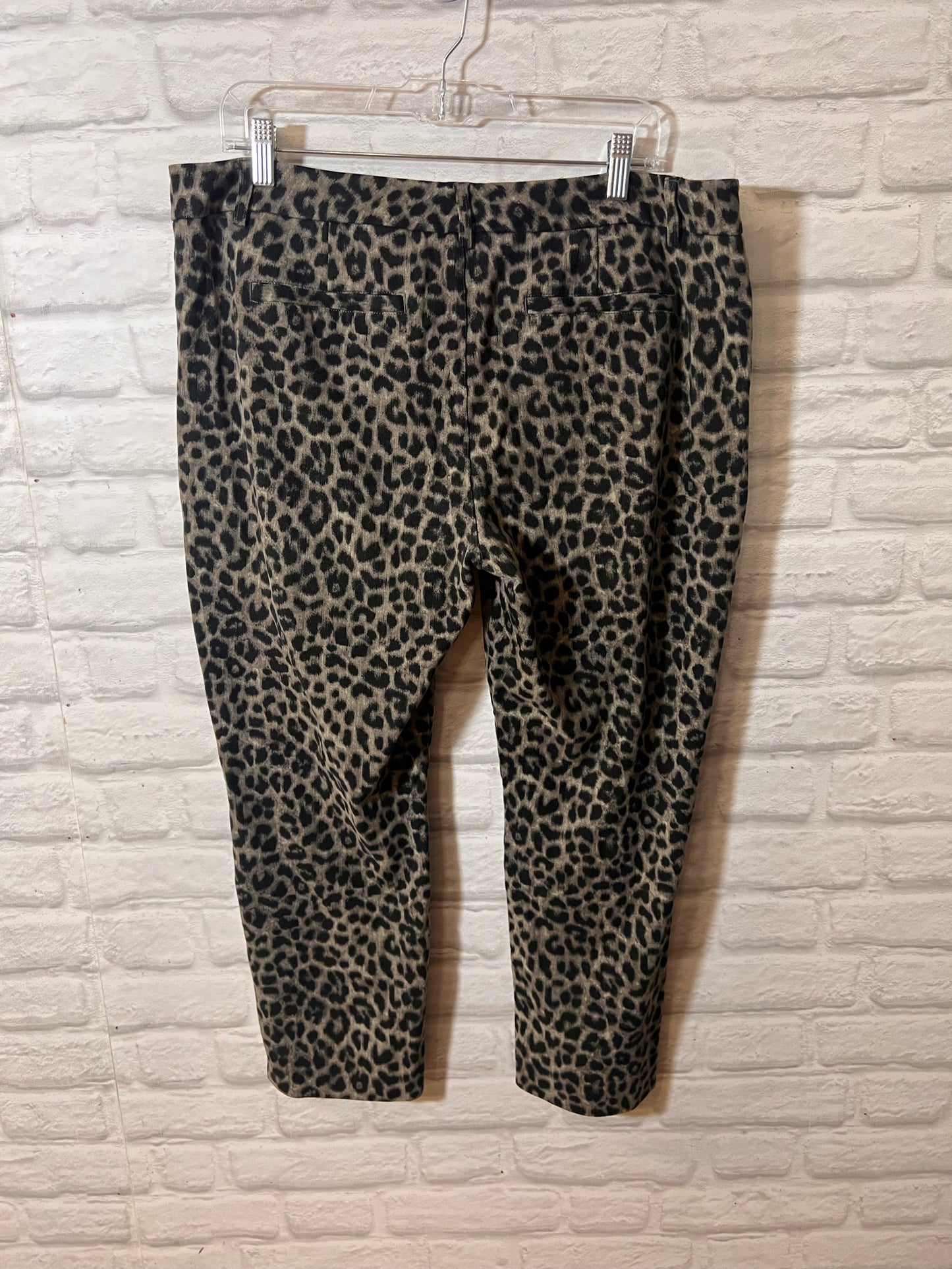 CAbi Size 16W Leopard Print Capri Pants