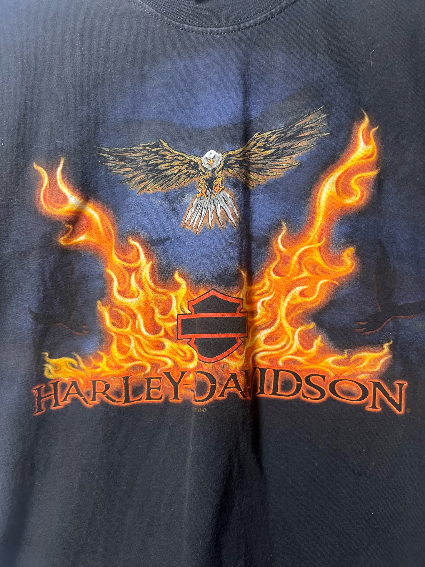 Size M Harley-Davidson Used HD T-Shirt - Special Collection