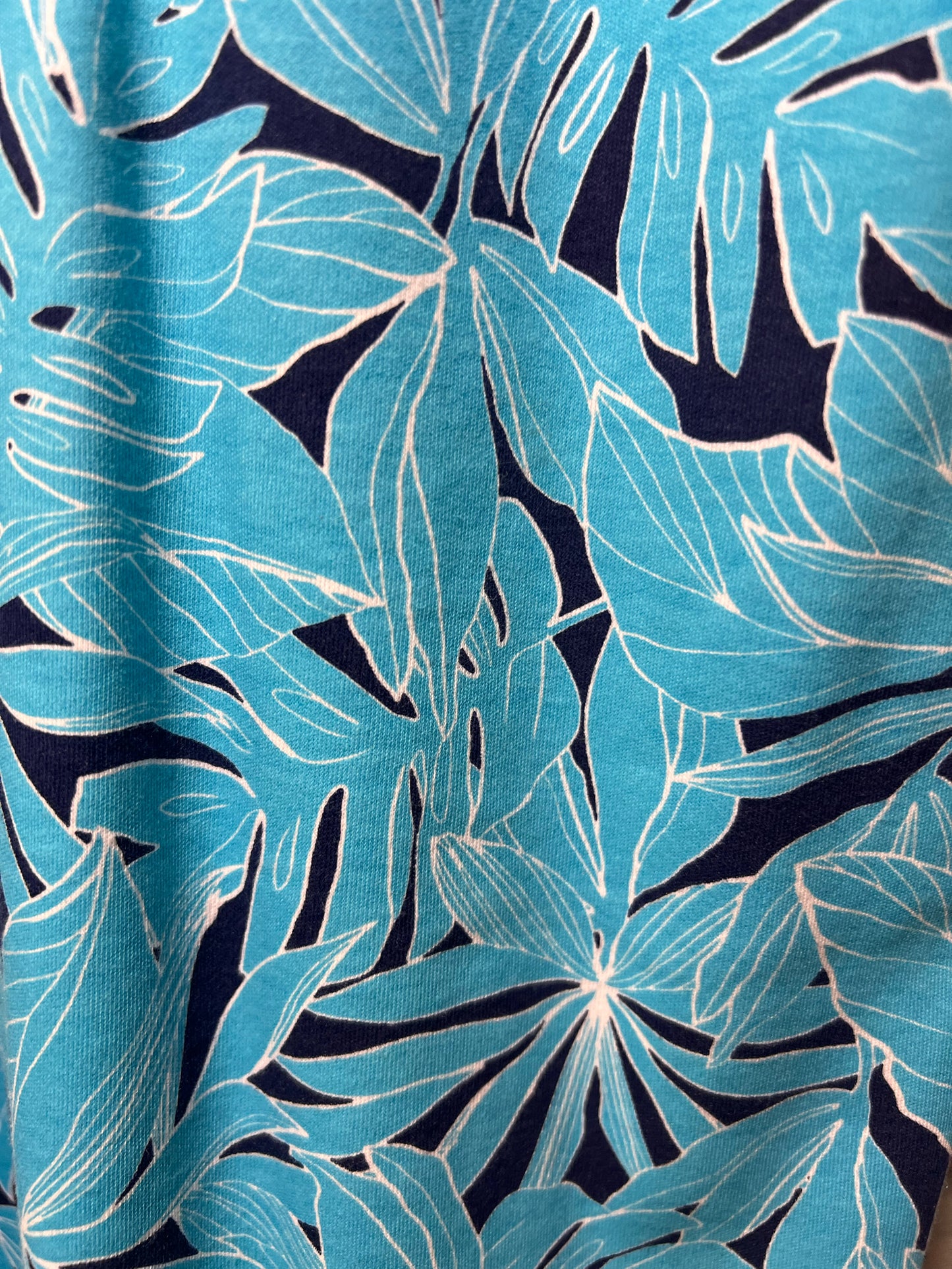 Size XL Appleseed's Blue Tropical Dress