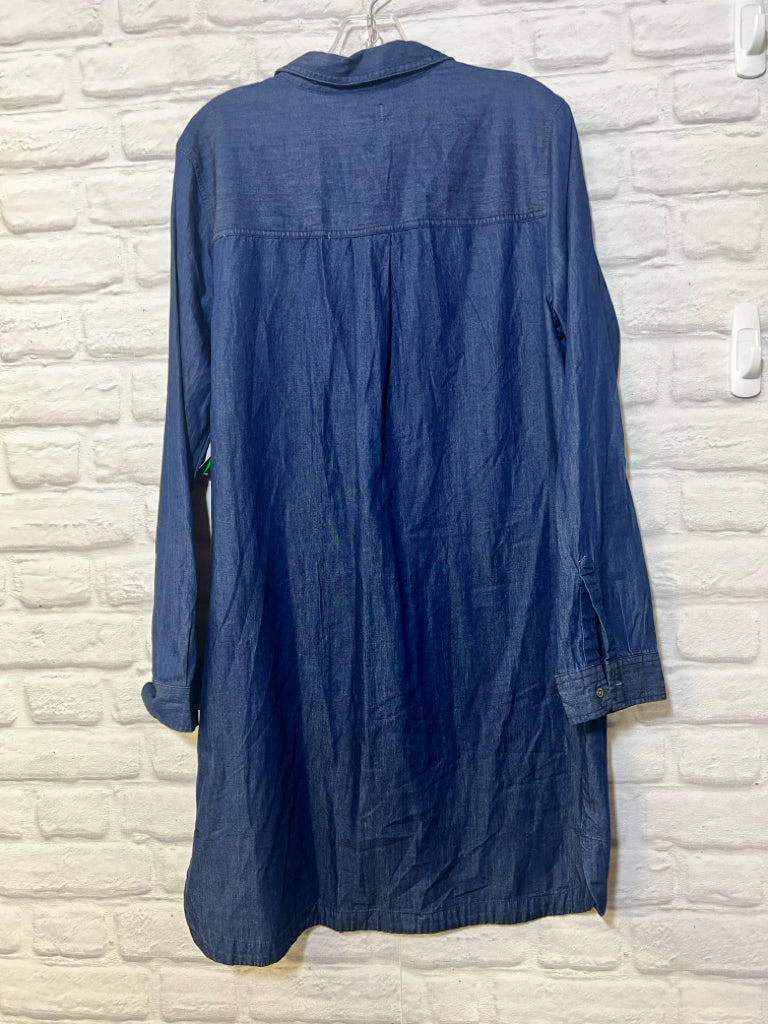 Size L Old Navy Used but NWT Dress