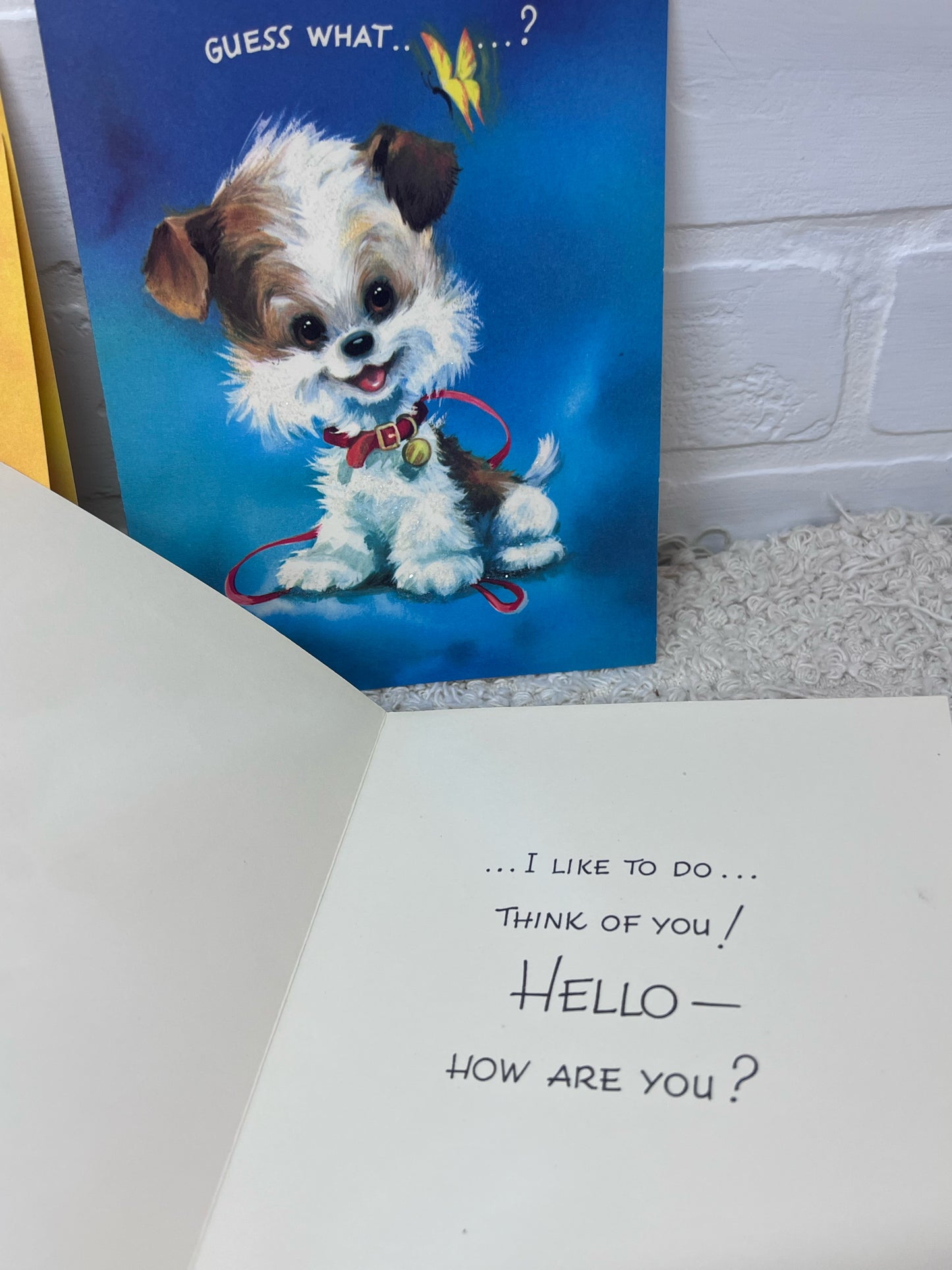 Vintage Box of 'Sparkling Pets' 1960's Greeting Cards