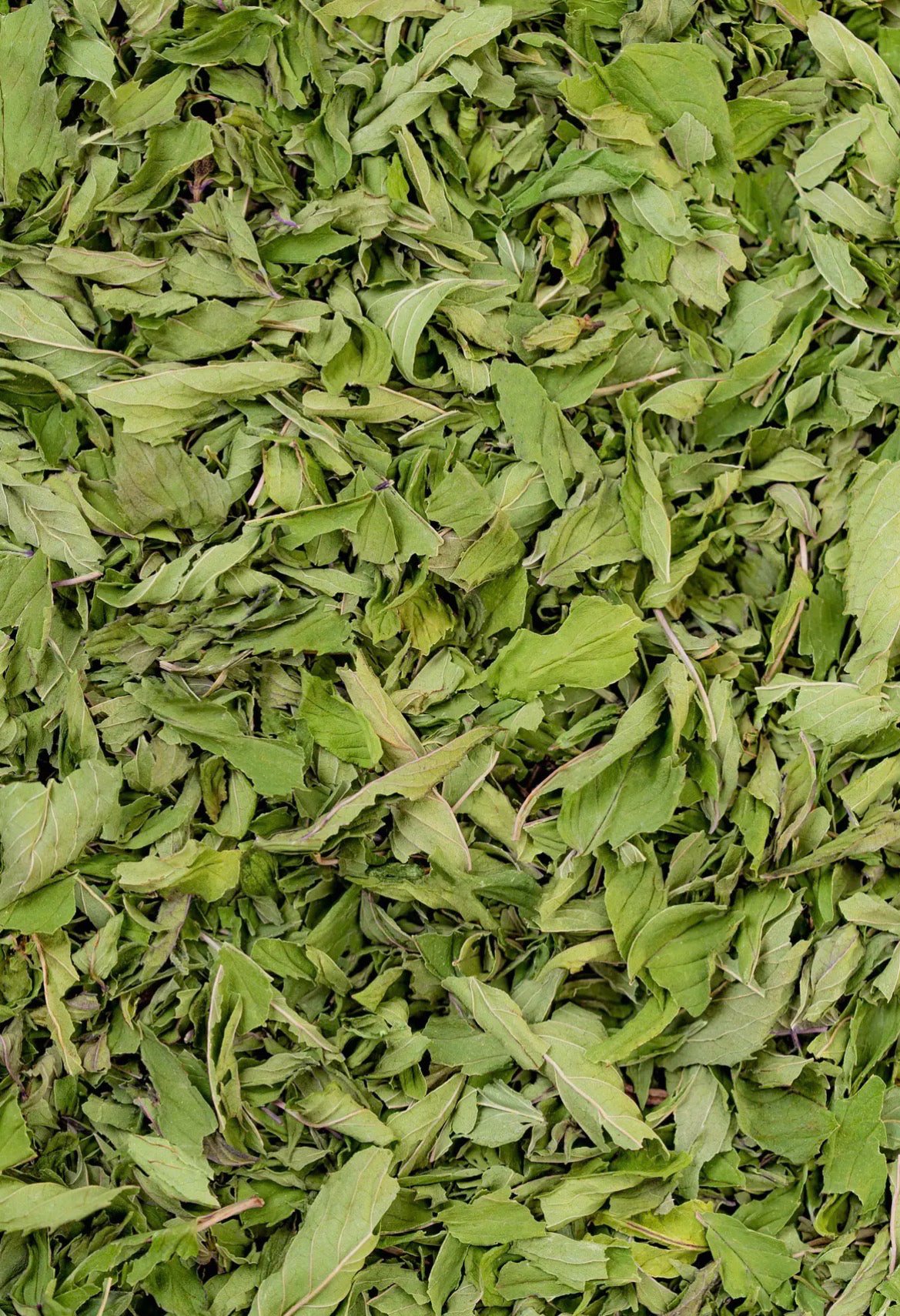 Sacred Blossom Farm Loose Leaf Herbal Tea - Assorted Varieties