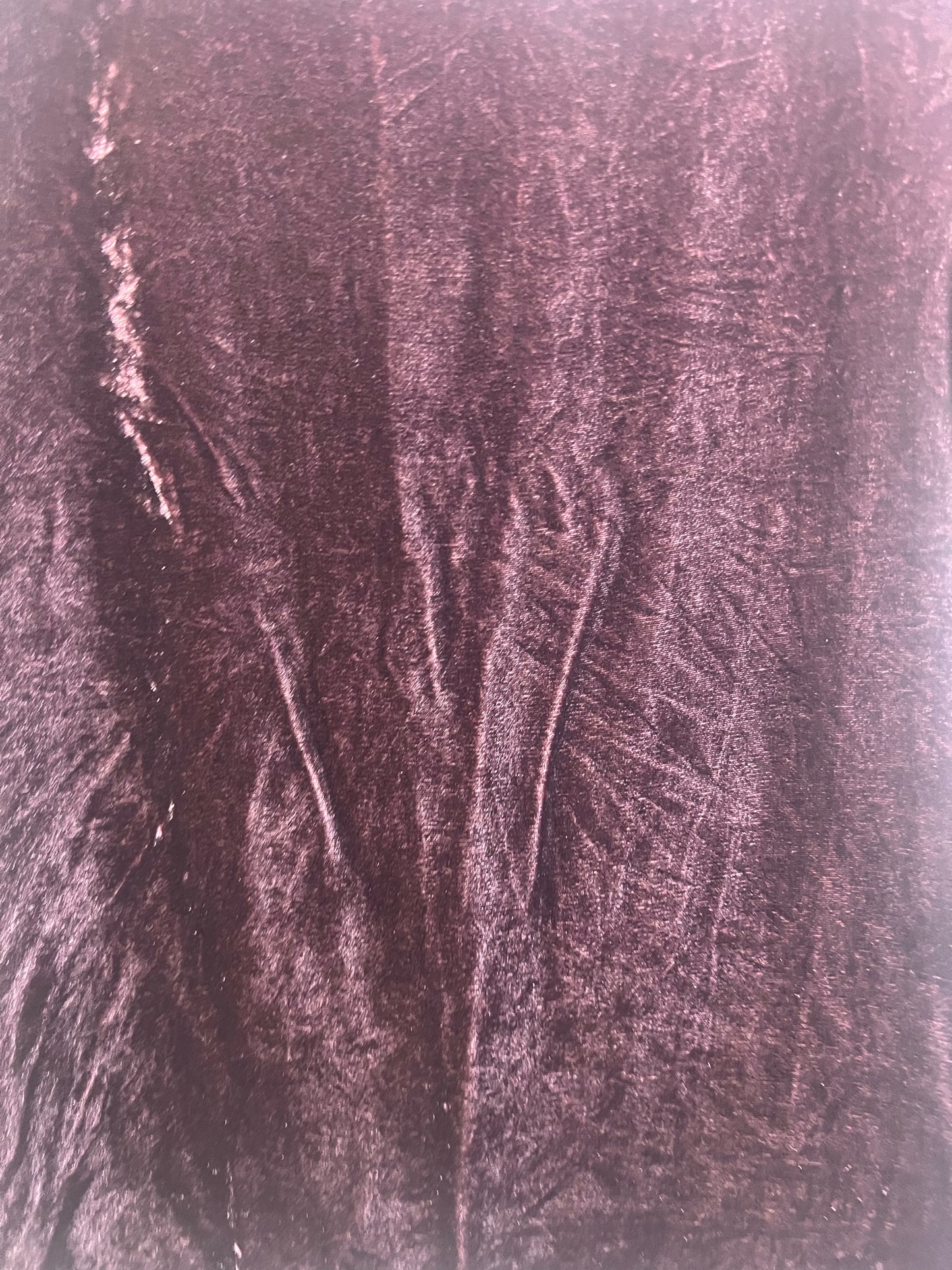 Size XS Sundance Velvet Shirt