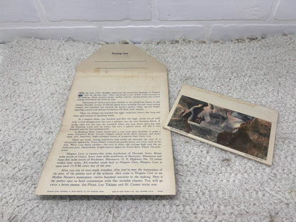 Vintage Niagara Cave Postcard Set