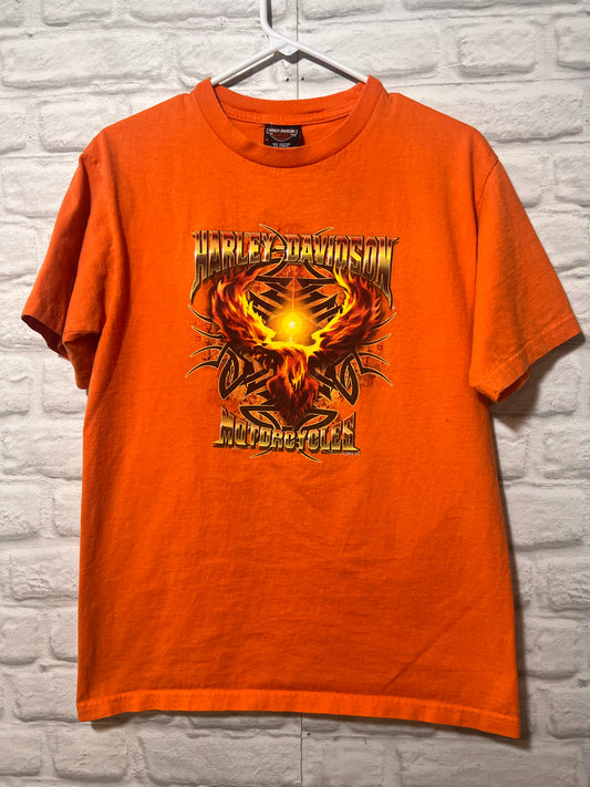 Size M Harley-Davidson Used HD T-Shirt - Special Collection